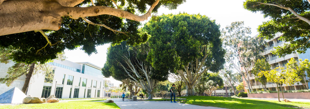 UCSB Campus Trees